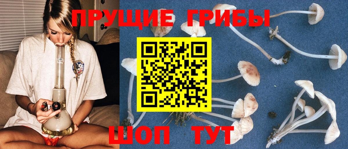 Псилоцибиновые грибы мухоморы  Галлюциногенные грибы Psilocybine cubensis  где купить наркоту  Вход с VPN  Спасск-Дальний 