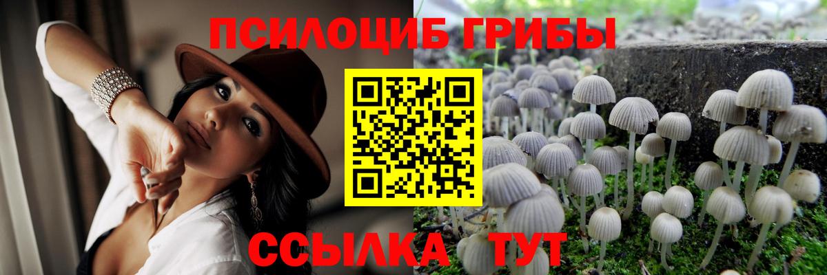 Псилоцибиновые грибы GOLDEN TEACHER Спасск-Дальний